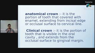 Anatomical and Clinical Crown And Root [upl. by Olumor558]