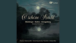 Brahms 4 Quartette Op 92  I O schöne Nacht [upl. by Charles]