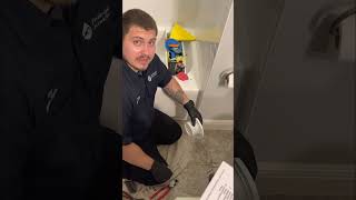 Plumbing HowTo PVC Toilet Flange Replacement [upl. by Clarkson]