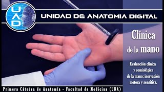 6 Problemas de Salud De Los Que Te Advierten Tus Manos  Diabetes Higado Artritis Tiroides Anemia [upl. by Arten]