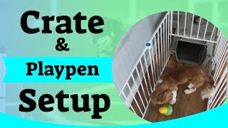 Puppy Crate Setup  Using A Puppy Playpen [upl. by Iow]