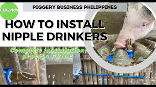 Automatic Water Drinkers For Pigs  How to Install Pig Nipple Drinkers  Effective DIY Pig Drinkers [upl. by Notlehs345]