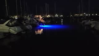 Lumitec SeaBlazeX2 Underwater LED Light [upl. by Lewls704]