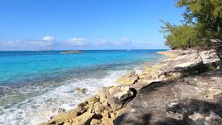 Exploring Rose Island Bahamas [upl. by Erej615]