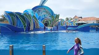 Dolphin Adventures Full Show  SeaWorld San Diego  August 28 2023 [upl. by Lorelei]