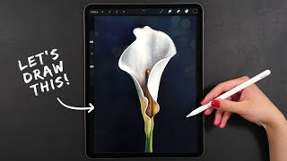 Draw a Calla Flower in Procreate  Digital Art Tutorial [upl. by Lemuelah]