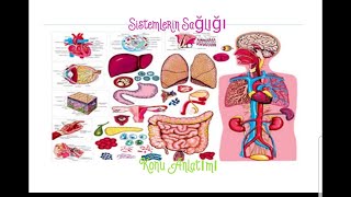 Sistemlerin Sağlığı [upl. by Okomom]