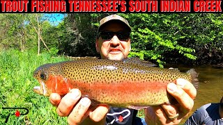 Trout Fishing Tennessees South Indian Creek [upl. by Sedaiuqlem206]