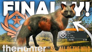 GREAT ONE FOX Goes SPLAT After 7500 Kills  Call of the Wild [upl. by Mendel886]