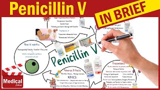 Penicillin V  Pen Vee K  What is Penicillin Used For Dosage Side Effects amp Precautions [upl. by Silsby]