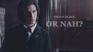 Sirius Black  Or nah [upl. by Nofpets]