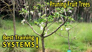 PRUNING FRUIT TREES  BEST SHAPES for SIZE and PRODUCTION [upl. by Ethban]