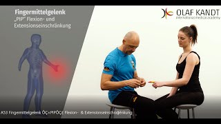 Fingermittelgelenk PIP Flexion amp Extensionseinschränkung [upl. by Drue]