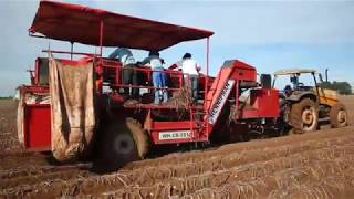 COLHEDEIRA DE BATATAS ARRASTROPOTATO HARVESTER HENNIPMAN [upl. by Orlene]