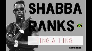 Shabba Ranks  Ting A Ling Dancehall Lyrics provided by Cariboake The Official Karaoke Event [upl. by Clellan]