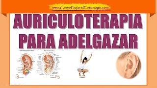 Auriculoterapia Para Perder Peso [upl. by Siladnerb]