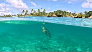 Kuredu Island  Maldives Vacation 2023 4k [upl. by Hendrix888]