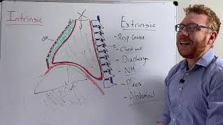 Restrictive Pulmonary Disease  Causes and Spirometry [upl. by Denny]