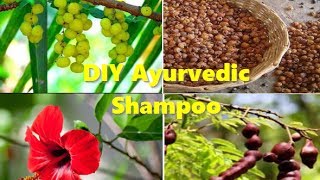 How to make 100 ayurvedic reetha shikakai amla shampoo for fast hair growth [upl. by Muna]