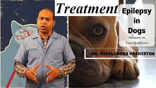 In Depth  Treatment for Epilepsy in Dogs VET For PET [upl. by Alamak]