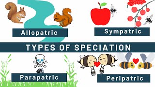 Speciation Allopatric Sympatric Peripatric Parapatric Types of speciation Examples [upl. by Enelrad]