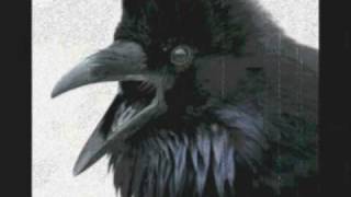 Alan Parsons Project The Raven [upl. by Ahseiat]