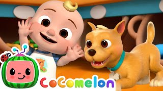 JJ’s Magic Words amp Pet Store Fun  🍉 CoComelon  JJs Baby Songs 🎶 [upl. by Sices]