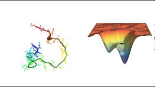 Protein Folding [upl. by Jeremie327]