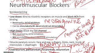 Pharmacology of Neuromuscular Blockers [upl. by Ahseyi82]