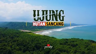 Ujung Hutan Sancang  Pantai Cipanglemuan Garut [upl. by Llerrat]