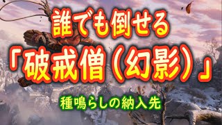 【隻狼SEKIRO】超簡単！「水生村 破戒僧（幻影）」の倒しかた【攻略＆解説】 [upl. by Imoyn]