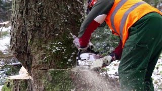 Przystanek Bieszczady  już dziś odcinek 2 [upl. by Asina]