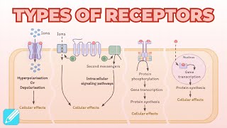 Types of Receptors LigandGated GPCRs KinaseLinked amp Nuclear Receptors  Pharmacology [upl. by Ibbob905]