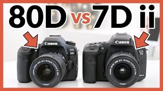 Canon 80D vs Canon 7D Mark ii  In Depth Comparison Review [upl. by Valenza566]