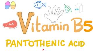 Vitamin B5 Pantothenic Acid 🥬🍗🍳 [upl. by Anert]