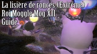 Roi Mog  La lisière de ronces Extrême Guide  Final Fantasy XIV  A Realm Reborn ARR30 [upl. by Bonucci]