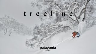 Treeline  The Secret Life of Trees  Patagonia Films [upl. by Alliw]