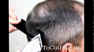 Tapered Haircut  Blend Hair With Clipper Cutting Technique [upl. by Bohi]