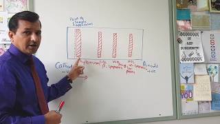 Lipoprotein Electrophoresis [upl. by Kcirdnek]