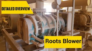 How Roots Blower works  Detailed overview  Lobes  Working Principle [upl. by Jennie12]