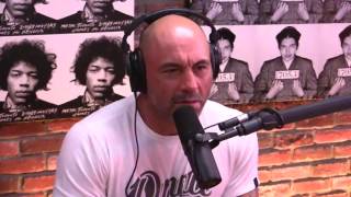 Joe Rogan amp Dorian Yates on Palumboism [upl. by Ennaeiluj]