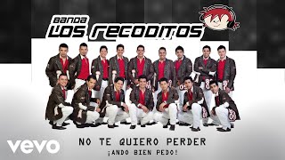 Banda Los Recoditos  No Te Quiero Perder Animated Video [upl. by Mei]