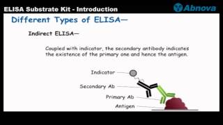 ELISA Substrate Kit  Introduction [upl. by Bortz]