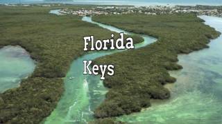 Florida  Fast Facts Geography Cities History and More [upl. by Jewelle]