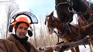 My Horse Drawn Logging Cart [upl. by Michaeline]