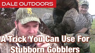 A trick you can use for stubborn gobblers [upl. by Nosiram6]