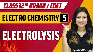 Electrochemistry 05  Electrolysis  Class 12thCUET [upl. by Assirhc659]