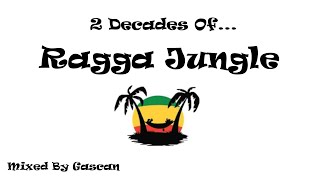 2 Decades of Ragga Jungle  Drum n Bass Jungle  New 2024  Gascan [upl. by Gant]