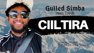 Gulled Simba  CIILTIRA Hees Cusub Official Music [upl. by Colinson]