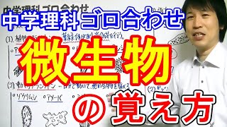 中学理科【ゴロ合わせ】「微生物の覚え方」 [upl. by Vaios]